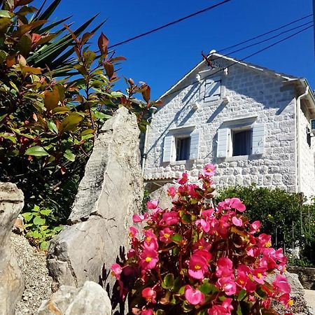Old Stone Villa Lalosevic 코토르 외부 사진