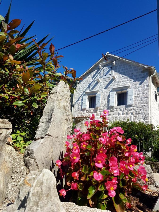 Old Stone Villa Lalosevic 코토르 외부 사진